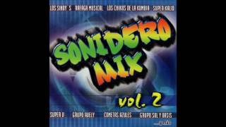 Sonidero Mix Vol 2 Disco Completo [upl. by Hceicjow]