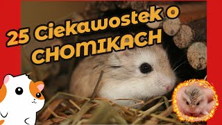 🐹 20 Ciekawostek o CHOMIKACH 🐹 Linarchie 3 [upl. by Cele698]