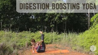 Yoga digestion boosting routine Metabolic Rush open level [upl. by Finah]