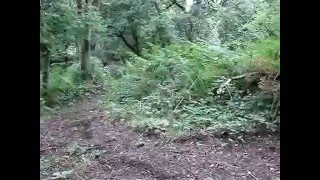 MTB Downhill The Wrekin Shropshire England [upl. by Fornof]