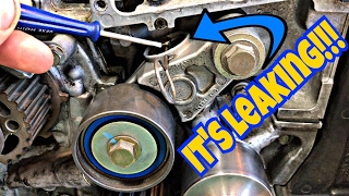 NEW Timing Belt Kit Needed  EASY WAY to Check [upl. by Marabel]