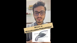 What is Mycoplasma pneumonia [upl. by Aylat805]