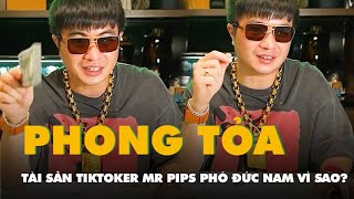 Bị hại của Mr Pips cần làm gì để có cơ hội đòi lại tiền bị chiếm đoạt [upl. by Stephenson]