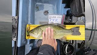 Lake Waconia Kayak Bass tournament [upl. by Akinirt]