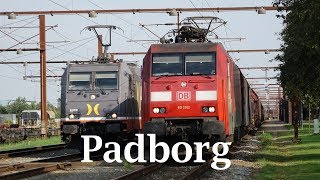 3 Godstog på Padborg station [upl. by Akemot360]