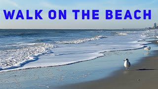 SUNRISE WALK ON THE BEACH  Virtual Walk 1 HOUR Video  Sea Waves and Sand [upl. by Ardnued871]