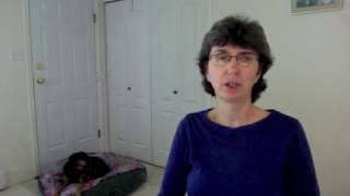 Donna Hills quotOtherquot Dog Training Channel Intro dogsexplained [upl. by Aiak837]