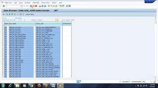 Day 10  SAP Security Role Tables [upl. by Rexer]