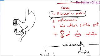 USMLE GIT 1 Embryology Anatomy and Gastrointestinal Ligaments [upl. by Onailime251]