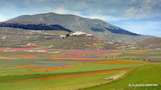 CASTELLUCCIO DI NORCIA  LA FIORITURA 2020  4k [upl. by Ieso]