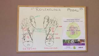 Reflexología Podal 👣 Mapa Puntos Reflejos del Pie 1ª parte [upl. by Atteras]