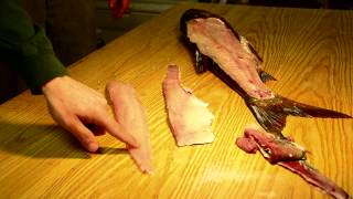 Filleting Silver Asian Carp Boneless [upl. by Ludwog174]