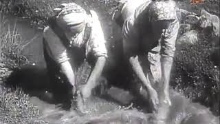 Ľan  film Zem spieva Karol Plicka 1933 [upl. by Eirrab]