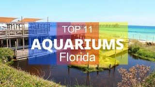 Top 11 Best Aquariums in Florida  United States [upl. by Alekim721]