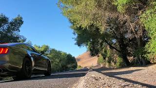 2017 Mustang GT steeda H pipe with Ford Performance by Borla Touring mufflers [upl. by Bittencourt]