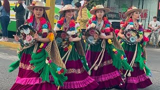 Guarecitas de la Calle Galeana 2023 Zamora Michoacán [upl. by Teik]