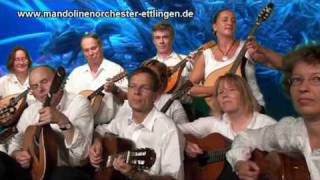 Earth Song Michael Jackson Mandolin Orchestra Zupforchester Cover [upl. by Leann]