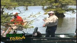 Grizzly Jig Crappie FishingHow to Fish Reelfoot Lake Cypress [upl. by Locklin]