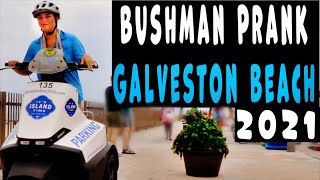 Bushman Prank 2021 Galveston Beach Scares [upl. by Collis34]