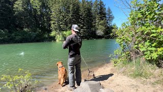 Fishing A TINY ROADSIDE LAKE For A LIMIT [upl. by Georgianna]