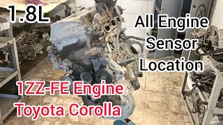 1ZZFE Engine All Sensor Locations Of Toyota Corolla 18L [upl. by Chastain441]