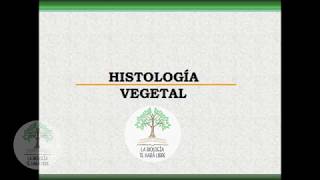 Histología vegetal reeditado [upl. by Toni]