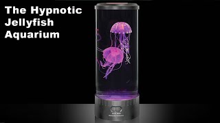 The Hypnotic Jellyfish Aquarium [upl. by Anak465]