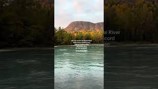 Kenai River [upl. by Arved]