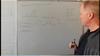 A Coumarin in Scorpion Chitin Synthesis Planning Insights in Advanced Organic Chemistry 17 [upl. by Oberstone]