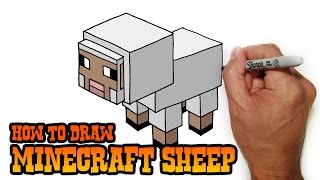 How to Draw Minecraft  Sheep [upl. by Ritter]