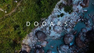 DOOARS  Cinematic Travel Video  Safarnama  Pinak Pramanik [upl. by Nirrac]