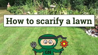 How to scarify a lawn [upl. by Eidissac8]