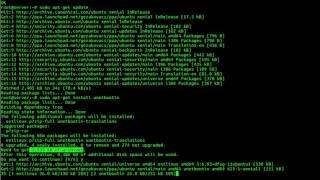 How to Install Unetbootin Bootable USB Creator on Ubuntu and LinuxMint [upl. by Aneeuqal676]