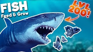 BIGGEST GREAT WHITE SHARK IN THE SEA LEVEL 200 SHARK  Feed And Grow Fish Gameplay [upl. by Enoed]