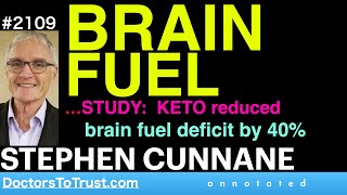 STEPHEN CUNNANE a2  BRAIN FUEL…STUDY KETO reduced brain fuel deficit by 40 [upl. by Nnylrats]