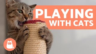 The Best Ways to PLAY with Your CAT 🐱 Toys and Games [upl. by Akihsay329]