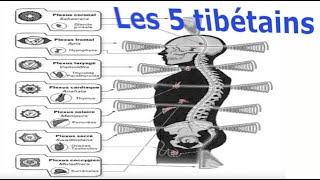 Les cinq tibétains une solution à la sédentarité qui nous gagne  partie 1 [upl. by Reld]