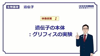 【生物基礎】 遺伝子1 グリフィスの実験 （１６分） [upl. by Herod]