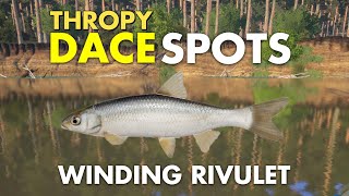 Russian Fishing 4 THROPY DACE SPOT Winding Rivulet [upl. by Nnylatsirk641]