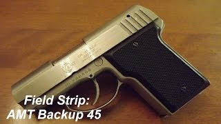 Field Strip AMT Backup 45 [upl. by Stephenson]