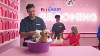 PetSmart Services All Under One Roof [upl. by Franny]