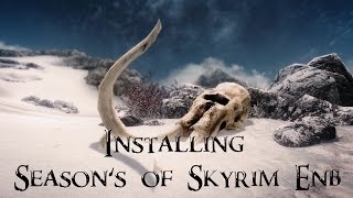 Skyrim  How to Install Seasons of Skyrim ENB Presets Detailed [upl. by Skipper]