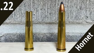 How to Reload 22 Hornet For Beginners [upl. by Griswold]