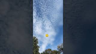 Looks like we in dome 😱😯 scary video in the garden weird clouds formation dome wildlife 😯 [upl. by Auoh]