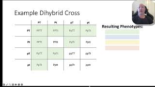 Inheritance part 1 Punnet squares for monohybrid and dihybrid crosses [upl. by Millard]