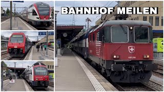 Züge beim Bahnhof Meilen  Trains at Meilen station 2023 [upl. by Feune]