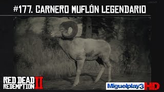 Localización Carnero Muflón legendario  177 Compendio Animales  Red dead redemption 2 [upl. by Aneres]