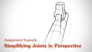 Simplifying Joints In Perspective  Human Anatomy [upl. by Neersin]