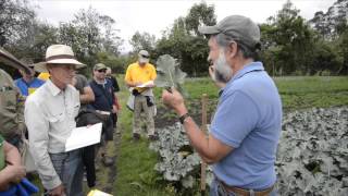 Hortalizas orgánicas en Ecuador con Pacho Gangotena [upl. by Auqcinahs]