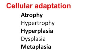 Cellular Adaptation  Atrophy Hypertrophy Hyperplasia Dysplasia Metaplasia [upl. by Anrehs]